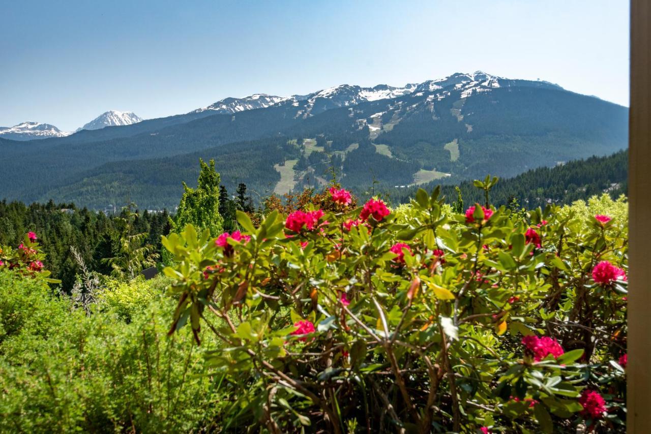 The Ironwood On Blueberry Hill Lejlighed Whistler Eksteriør billede